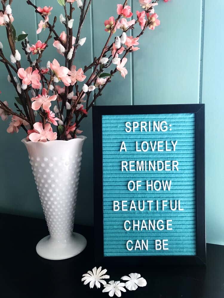 apple blossoms and pussy willow in vase with letterboard quote for spring studio tour